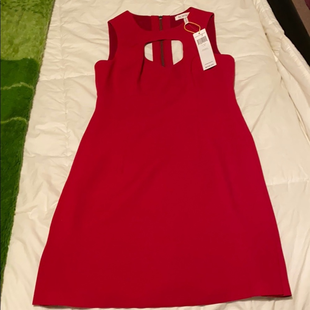 BCBG Dress!